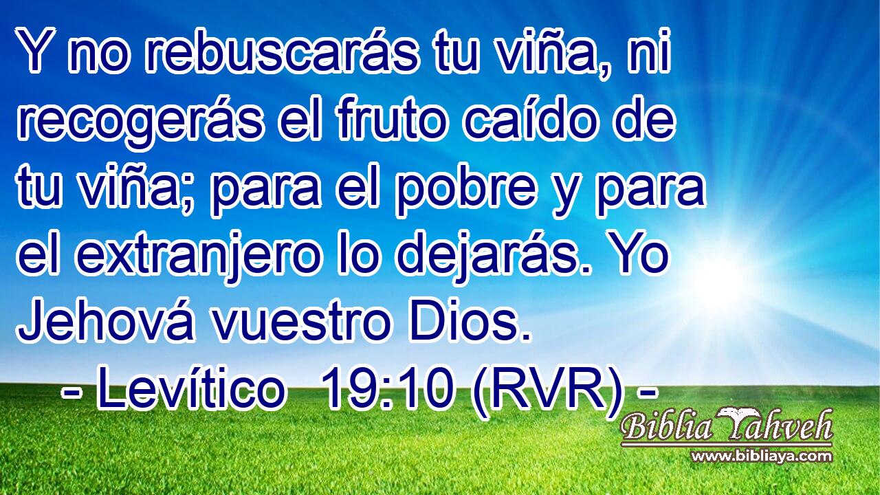 Y no rebuscarás tu viña, ni recogerás el fruto caído de tu viña; para el pobre y para el extranjero lo dejarás. Yo Jehová vuestro Dios.