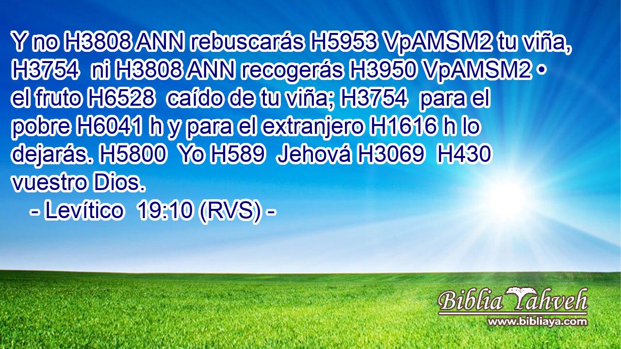 Y no H3808 ANN rebuscarás H5953 VpAMSM2 tu viña, H3754  ni H3808 ANN recogerás H3950 VpAMSM2 • el fruto H6528  caído de tu viña; H3754  para el pobre H6041 h y para el extranjero H1616 h lo dejarás. H5800  Yo H589  Jehová H3069  H430 vuestro Dios. 