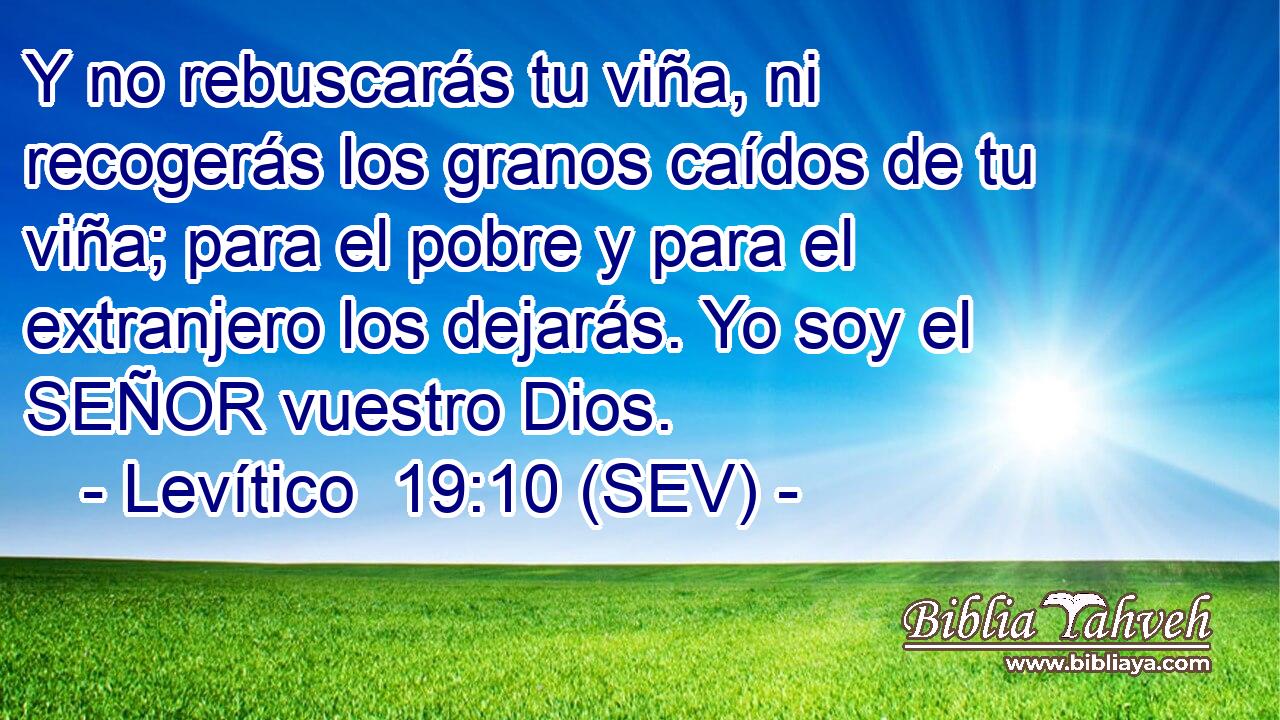 Y no rebuscarás tu viña, ni recogerás los granos caídos de tu viña; para el pobre y para el extranjero los dejarás. Yo soy el SEÑOR vuestro Dios.