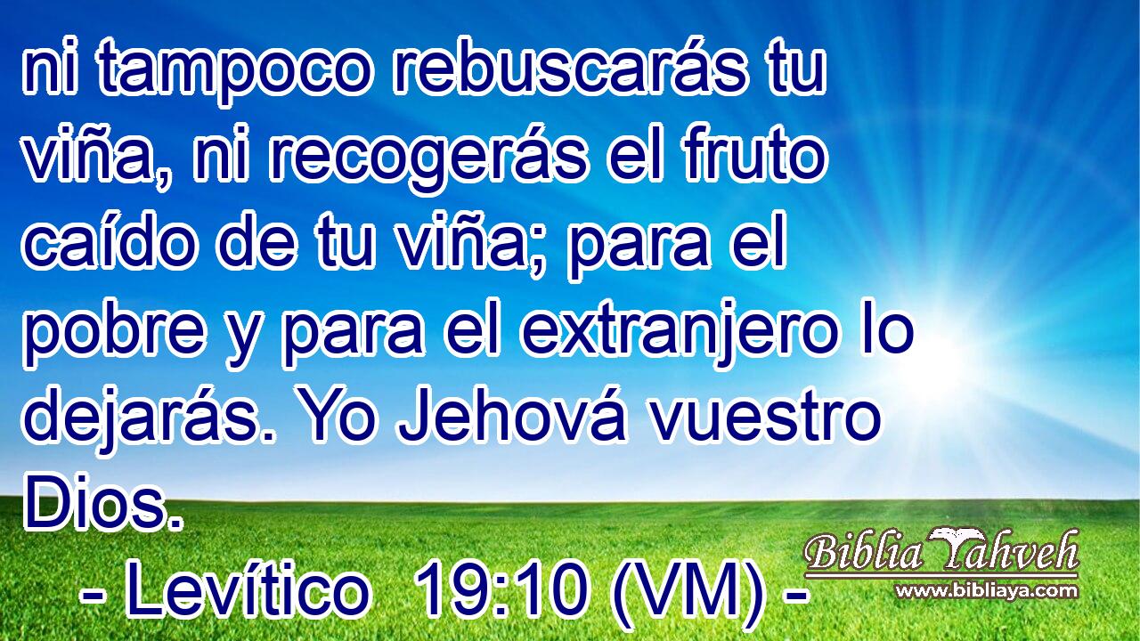  ni tampoco rebuscarás tu viña, ni recogerás el fruto caído de tu viña; para el pobre y para el extranjero lo dejarás. Yo Jehová vuestro Dios. 