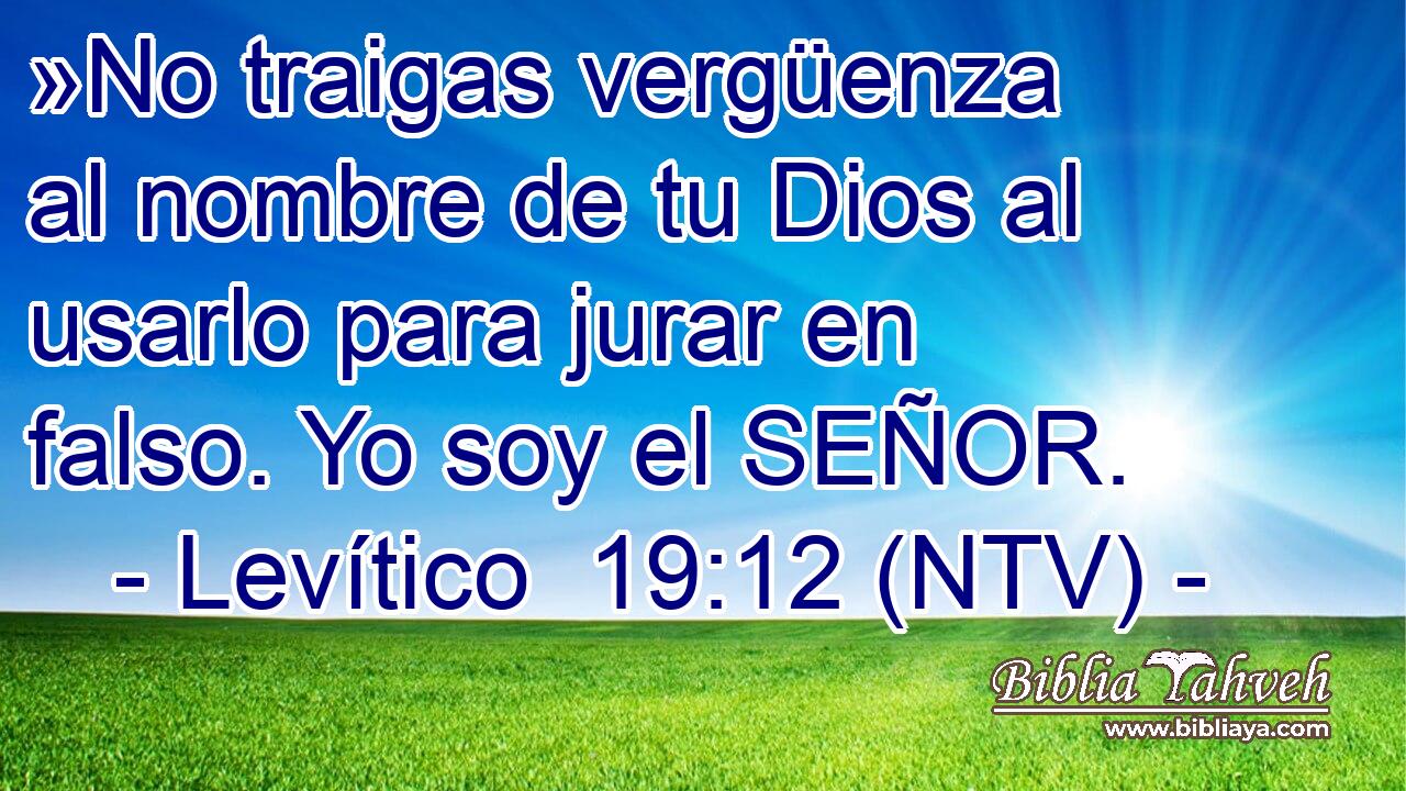»No traigas vergüenza al nombre de tu Dios al usarlo para jurar en falso. Yo soy el SEÑOR.