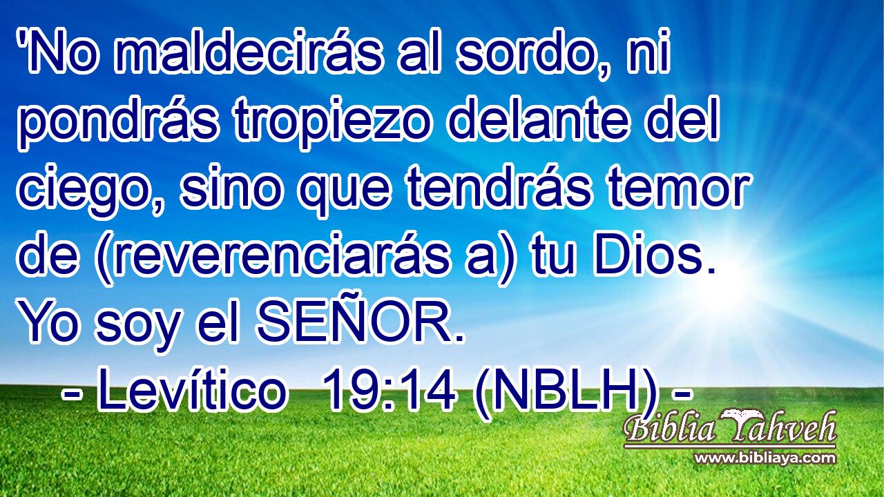  'No maldecirás al sordo, ni pondrás tropiezo delante del ciego, sino que tendrás temor de (reverenciarás a) tu Dios. Yo soy el SEÑOR. 