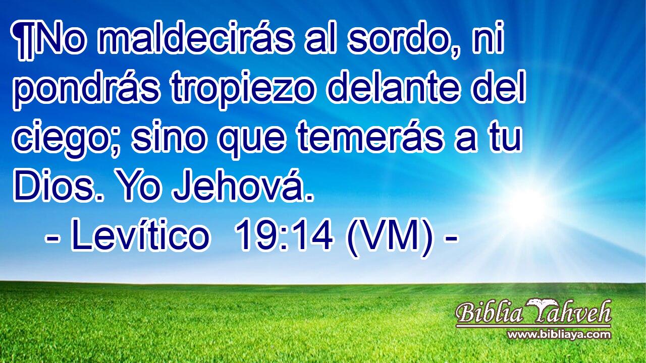  ¶No maldecirás al sordo, ni pondrás tropiezo delante del ciego; sino que temerás a tu Dios. Yo Jehová. 