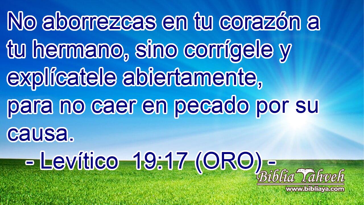  No aborrezcas en tu corazón a tu hermano, sino corrígele y explícatele abiertamente, para no caer en pecado por su causa. 