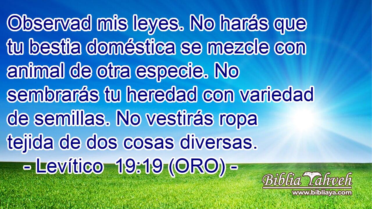 Observad mis leyes. No harás que tu bestia doméstica se mezcle con animal de otra especie. No sembrarás tu heredad con variedad de semillas. No vestirás ropa tejida de dos cosas diversas. 