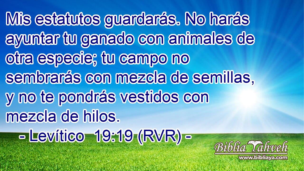 Mis estatutos guardarás. No harás ayuntar tu ganado con animales de otra especie; tu campo no sembrarás con mezcla de semillas, y no te pondrás vestidos con mezcla de hilos.