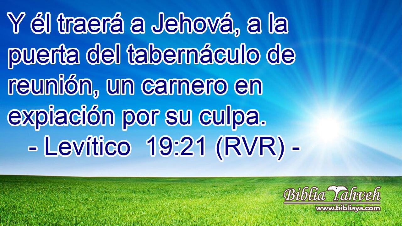 Y él traerá a Jehová, a la puerta del tabernáculo de reunión, un carnero en expiación por su culpa.