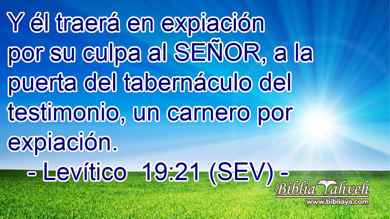 Y él traerá en expiación por su culpa al SEÑOR, a la puerta del tabernáculo del testimonio, un carnero por expiación.