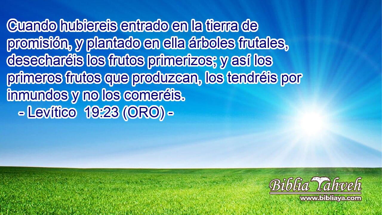  Cuando hubiereis entrado en la tierra de promisión, y plantado en ella árboles frutales, desecharéis los frutos primerizos; y así los primeros frutos que produzcan, los tendréis por inmundos y no los comeréis. 