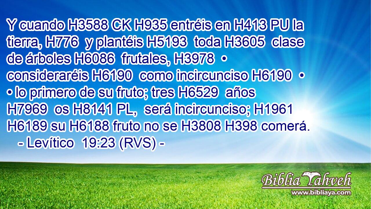 Y cuando H3588 CK H935 entréis en H413 PU la tierra, H776  y plantéis H5193  toda H3605  clase de árboles H6086  frutales, H3978  • consideraréis H6190  como incircunciso H6190  • • lo primero de su fruto; tres H6529  años H7969  os H8141 PL,  será incircunciso; H1961  H6189 su H6188 fruto no se H3808 H398 comerá. 