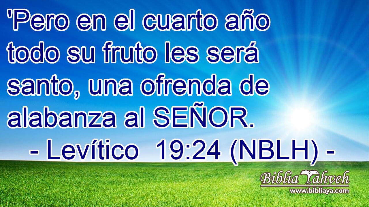  'Pero en el cuarto año todo su fruto les será santo, una ofrenda de alabanza al SEÑOR. 