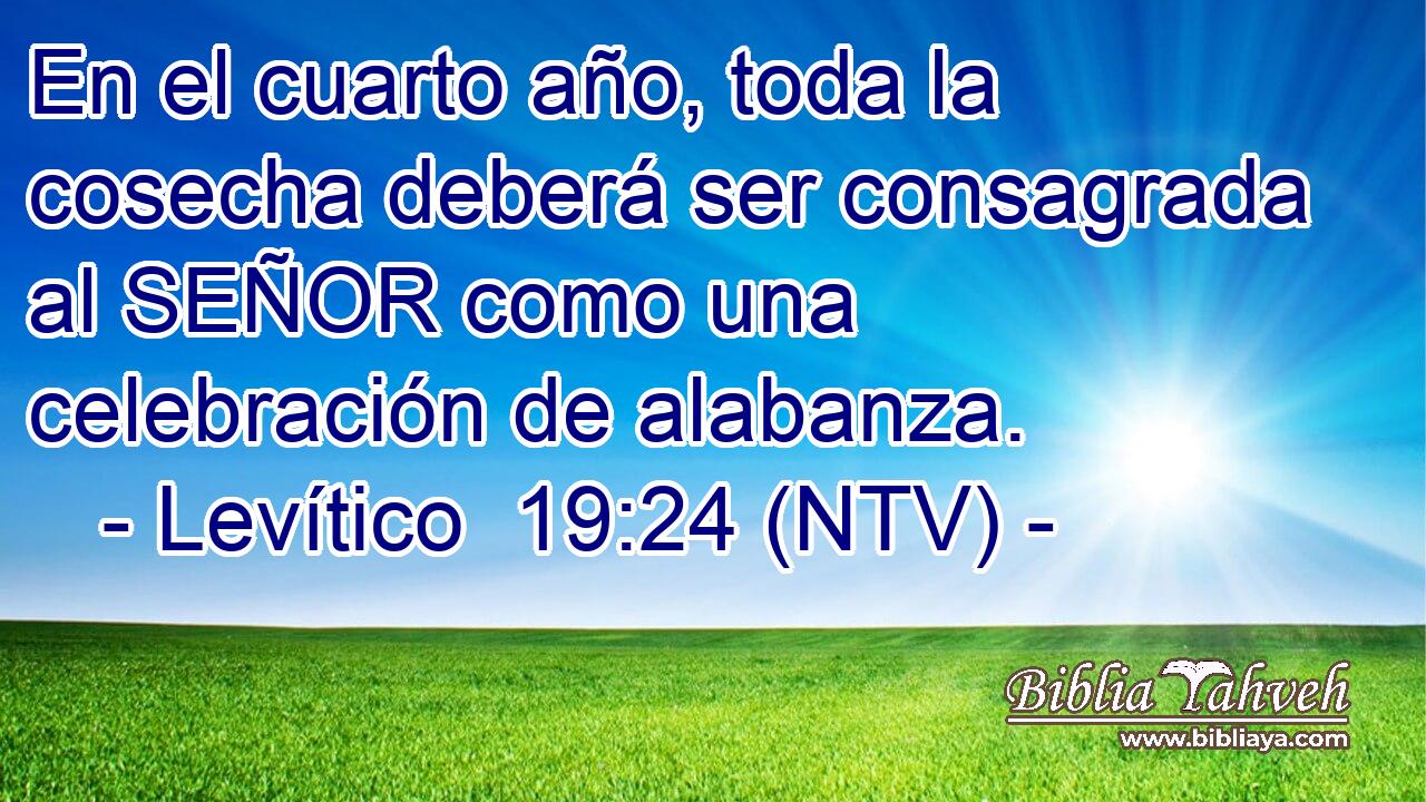En el cuarto año, toda la cosecha deberá ser consagrada al SEÑOR como una celebración de alabanza.