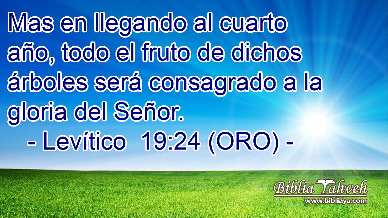  Mas en llegando al cuarto año, todo el fruto de dichos árboles será consagrado a la gloria del Señor. 