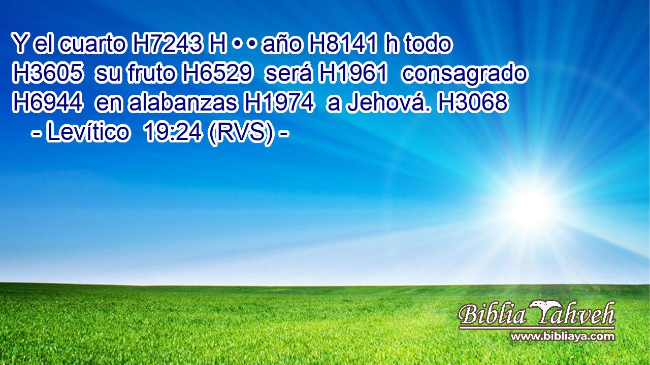 Y el cuarto H7243 H • • año H8141 h todo H3605  su fruto H6529  será H1961  consagrado H6944  en alabanzas H1974  a Jehová. H3068  