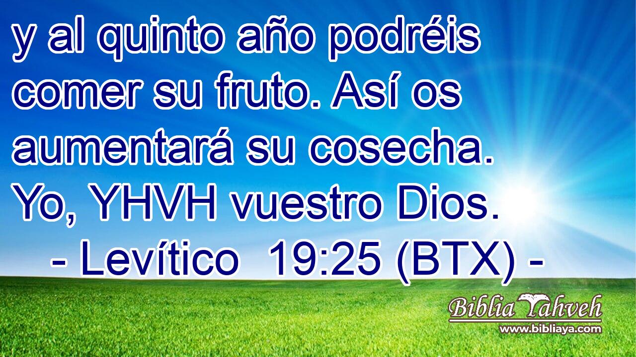 y al quinto año podréis comer su fruto. Así os aumentará su cosecha. Yo, YHVH vuestro Dios.