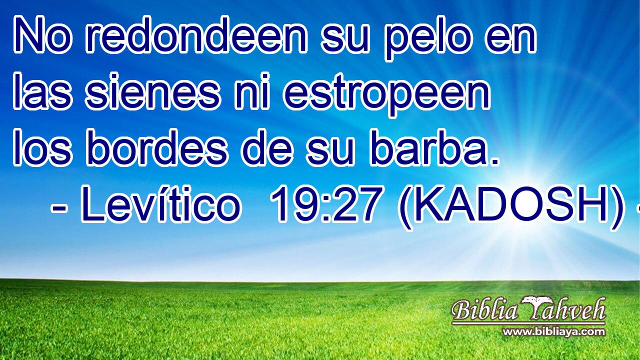  No redondeen su pelo en las sienes ni estropeen los bordes de su barba. 