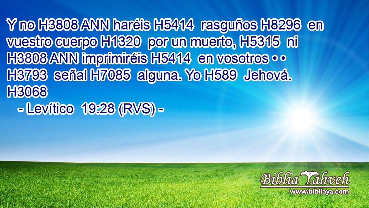 Y no H3808 ANN haréis H5414  rasguños H8296  en vuestro cuerpo H1320  por un muerto, H5315  ni H3808 ANN imprimiréis H5414  en vosotros • • H3793  señal H7085  alguna. Yo H589  Jehová. H3068  