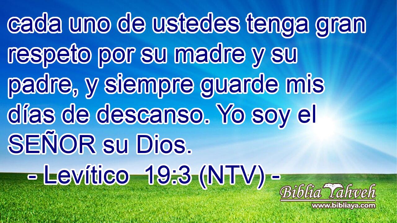 cada uno de ustedes tenga gran respeto por su madre y su padre, y siempre guarde mis días de descanso. Yo soy el SEÑOR su Dios.