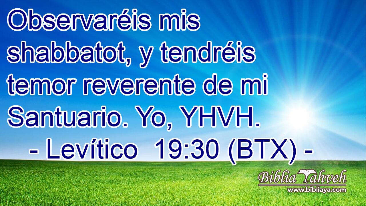 Observaréis mis shabbatot, y tendréis temor reverente de mi Santuario. Yo, YHVH.