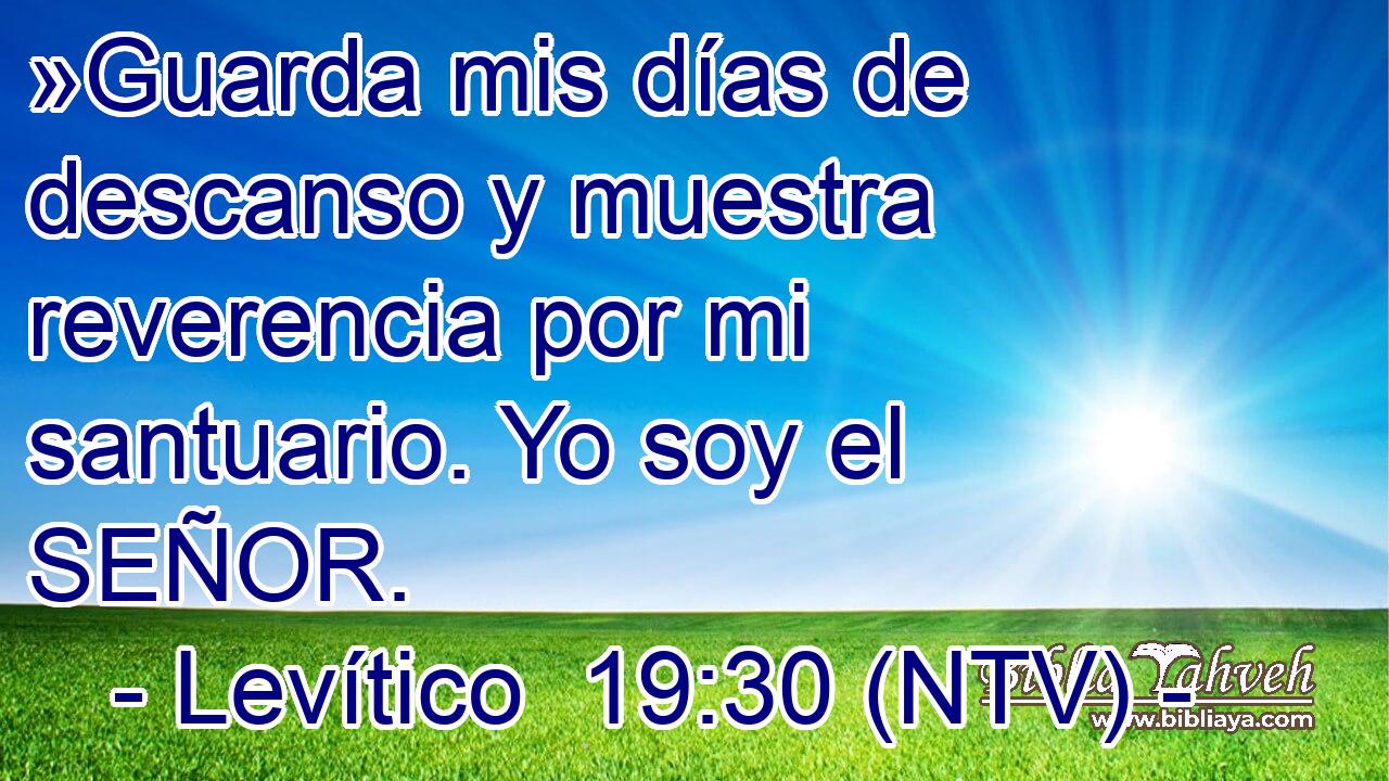 »Guarda mis días de descanso y muestra reverencia por mi santuario. Yo soy el SEÑOR.