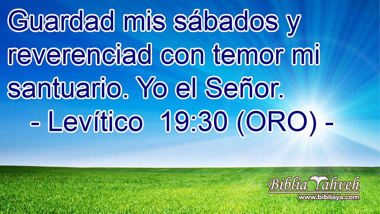  Guardad mis sábados y reverenciad con temor mi santuario. Yo el Señor. 