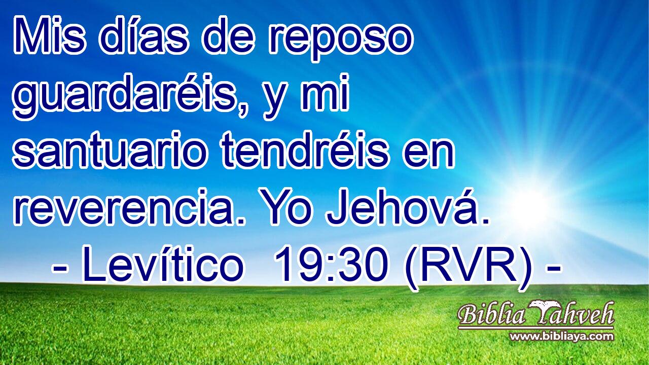 Mis días de reposo guardaréis, y mi santuario tendréis en reverencia. Yo Jehová.