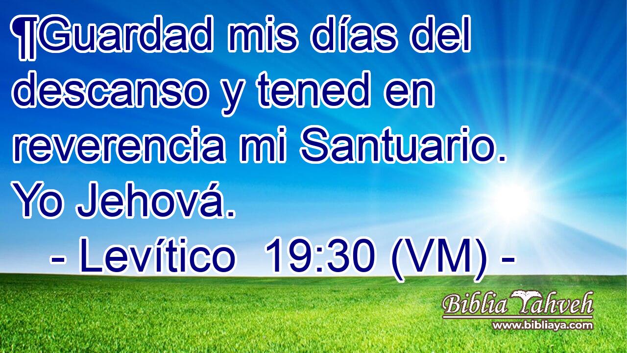  ¶Guardad mis días del descanso y tened en reverencia mi Santuario. Yo Jehová. 