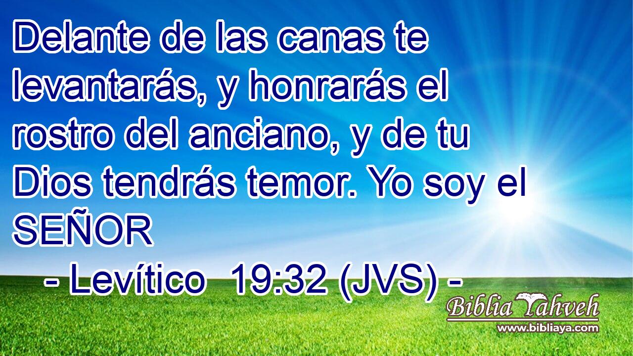 Delante de las canas te levantarás, y honrarás el rostro del anciano, y de tu Dios tendrás temor. Yo soy el SEÑOR