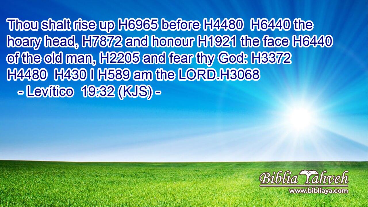 Thou shalt rise up H6965 before H4480  H6440 the hoary head, H7872 and honour H1921 the face H6440 of the old man, H2205 and fear thy God: H3372  H4480  H430 I H589 am the LORD.H3068