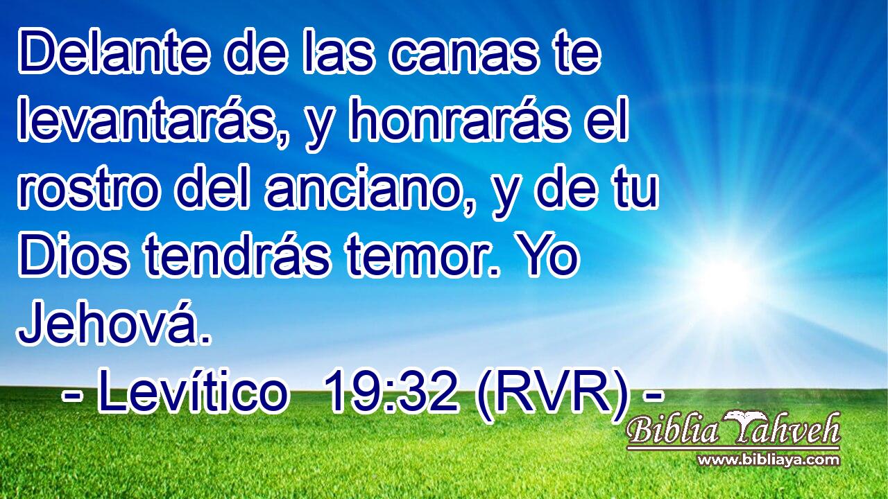 Delante de las canas te levantarás, y honrarás el rostro del anciano, y de tu Dios tendrás temor. Yo Jehová.