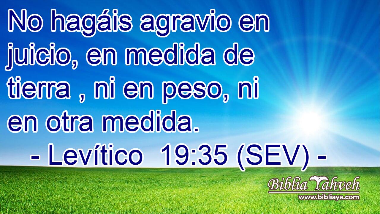 No hagáis agravio en juicio, en medida de tierra , ni en peso, ni en otra medida.