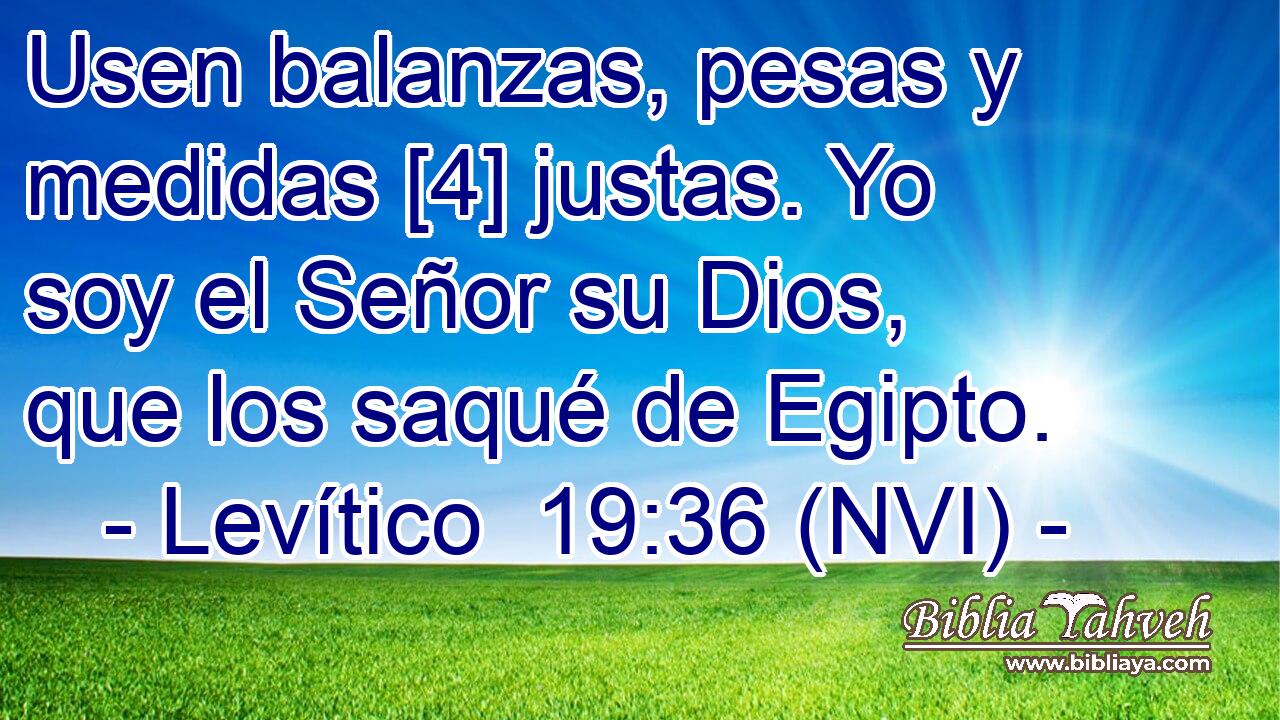  Usen balanzas, pesas y medidas [4] justas. Yo soy el Señor su Dios, que los saqué de Egipto. 