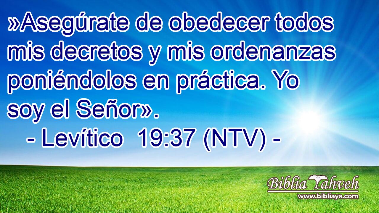 »Asegúrate de obedecer todos mis decretos y mis ordenanzas poniéndolos en práctica. Yo soy el Señor».