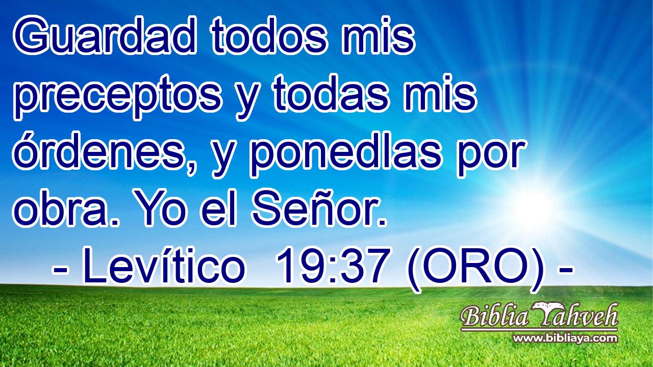  Guardad todos mis preceptos y todas mis órdenes, y ponedlas por obra. Yo el Señor. 
