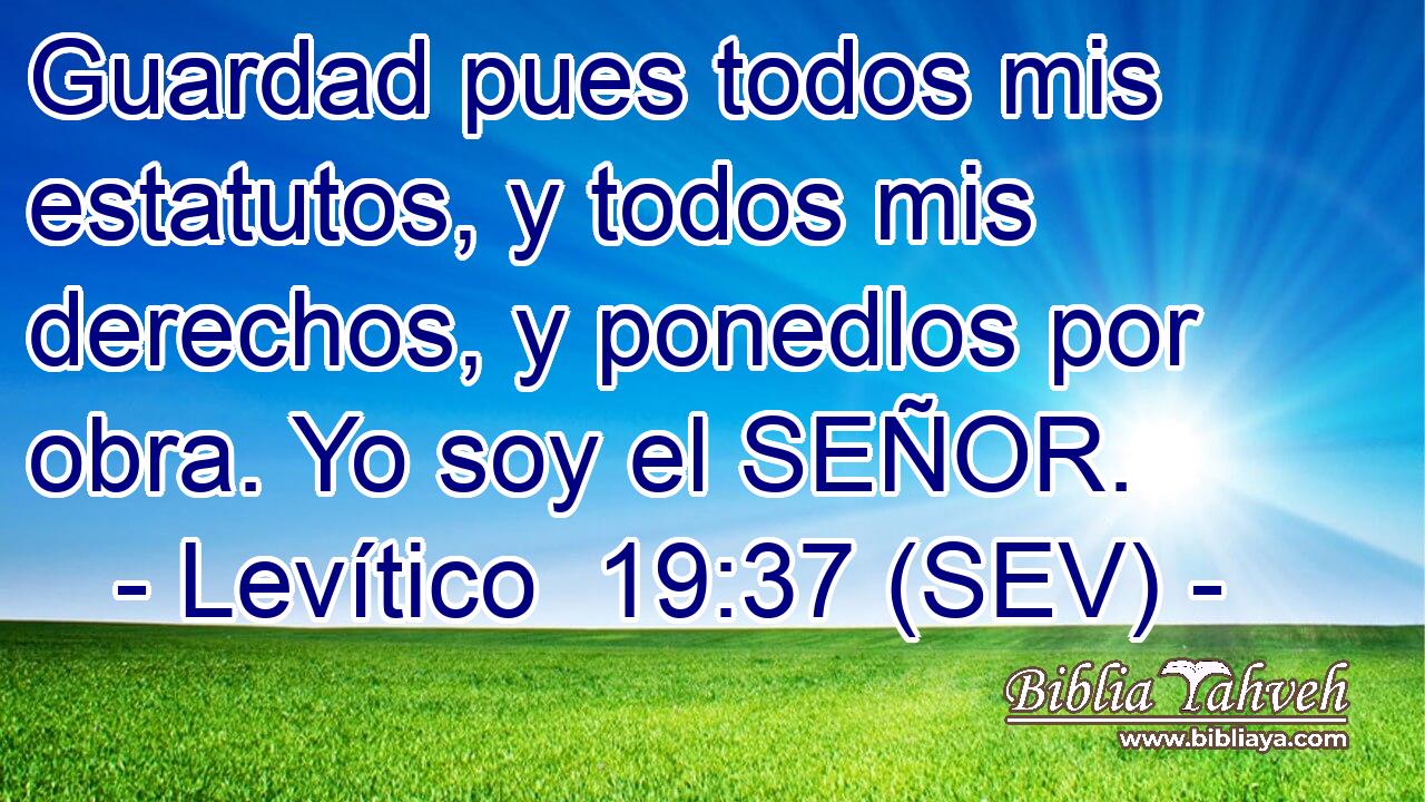 Guardad pues todos mis estatutos, y todos mis derechos, y ponedlos por obra. Yo soy el SEÑOR.