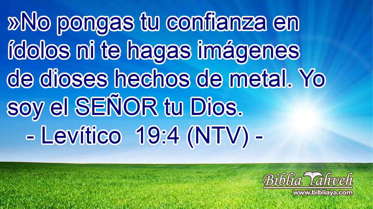 »No pongas tu confianza en ídolos ni te hagas imágenes de dioses hechos de metal. Yo soy el SEÑOR tu Dios.
