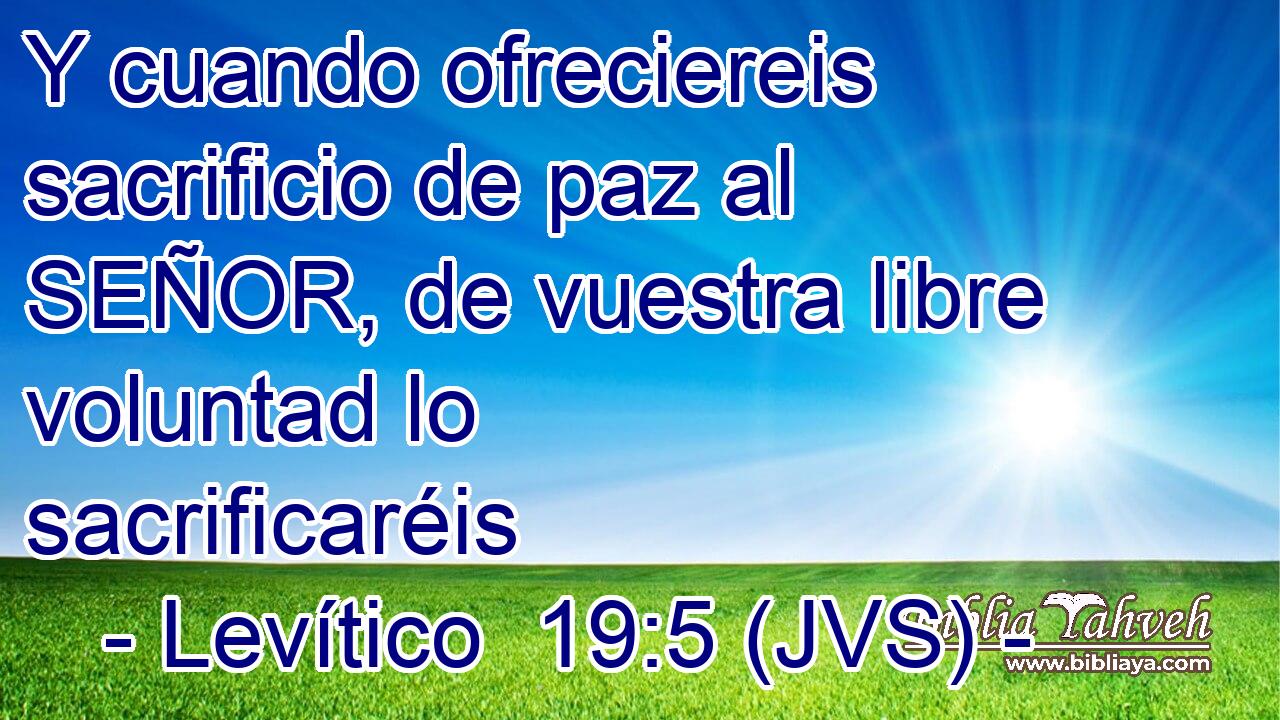 Y cuando ofreciereis sacrificio de paz al SEÑOR, de vuestra libre voluntad lo sacrificaréis