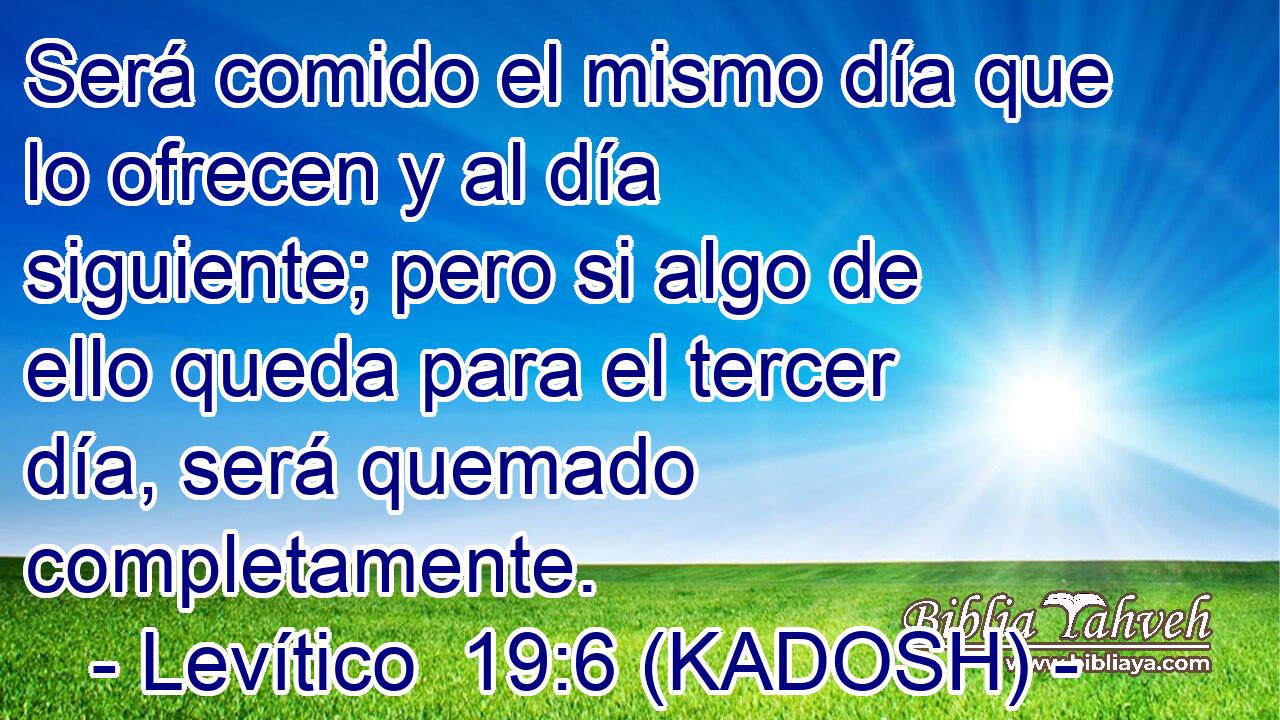  Será comido el mismo día que lo ofrecen y al día siguiente; pero si algo de ello queda para el tercer día, será quemado completamente. 