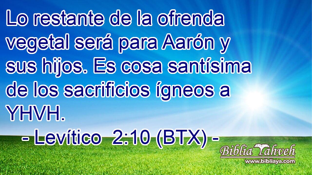 Lo restante de la ofrenda vegetal será para Aarón y sus hijos. Es cosa santísima de los sacrificios ígneos a YHVH.