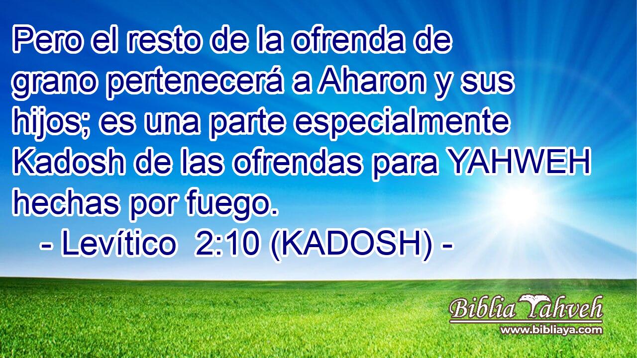  Pero el resto de la ofrenda de grano pertenecerá a Aharon y sus hijos; es una parte especialmente Kadosh de las ofrendas para YAHWEH hechas por fuego. 