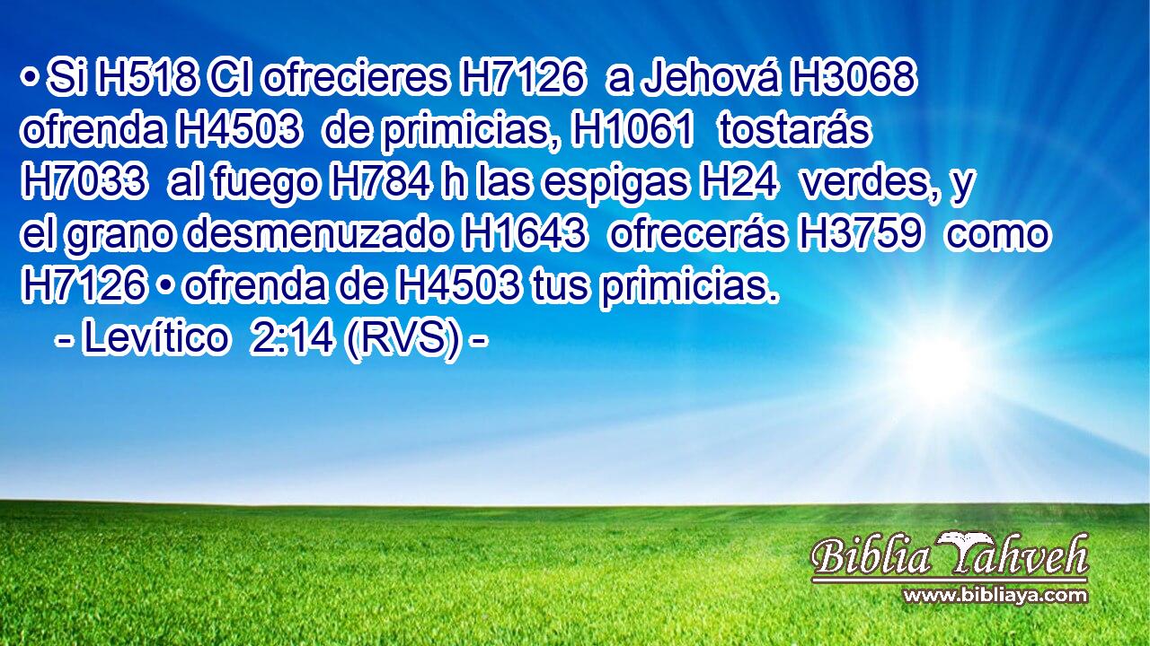 • Si H518 CI ofrecieres H7126  a Jehová H3068  ofrenda H4503  de primicias, H1061  tostarás H7033  al fuego H784 h las espigas H24  verdes, y el grano desmenuzado H1643  ofrecerás H3759  como H7126 • ofrenda de H4503 tus primicias. 