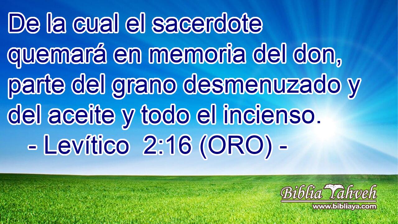  De la cual el sacerdote quemará en memoria del don, parte del grano desmenuzado y del aceite y todo el incienso. 