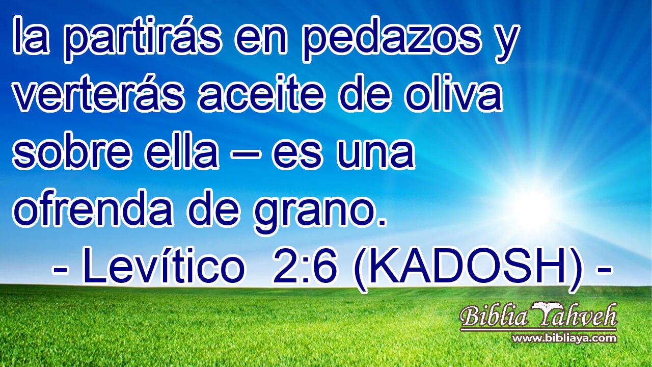  la partirás en pedazos y verterás aceite de oliva sobre ella – es una ofrenda de grano. 