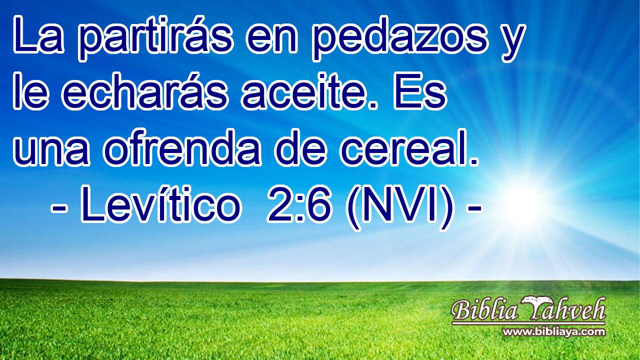  La partirás en pedazos y le echarás aceite. Es una ofrenda de cereal. 