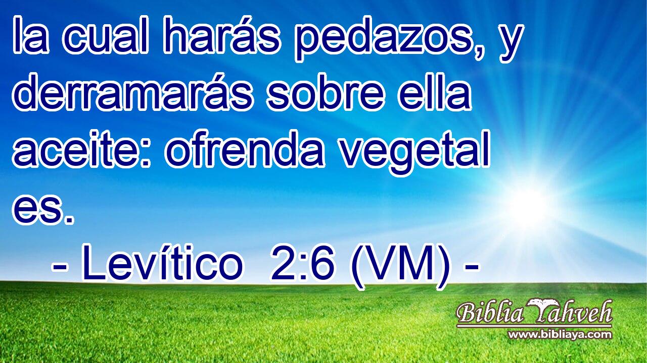  la cual harás pedazos, y derramarás sobre ella aceite: ofrenda vegetal es. 