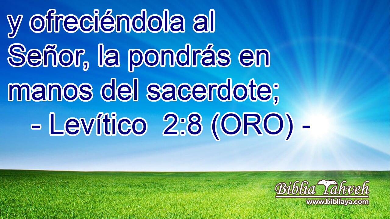  y ofreciéndola al Señor, la pondrás en manos del sacerdote; 