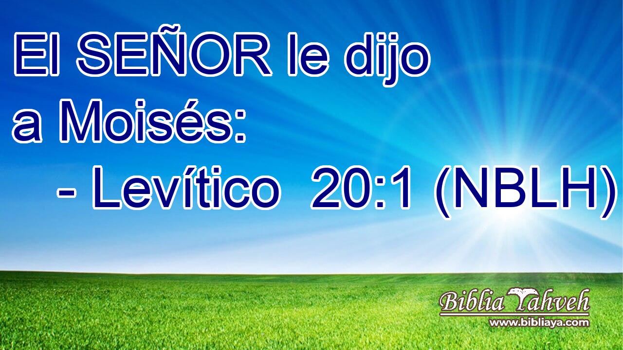  El SEÑOR le dijo a Moisés: 