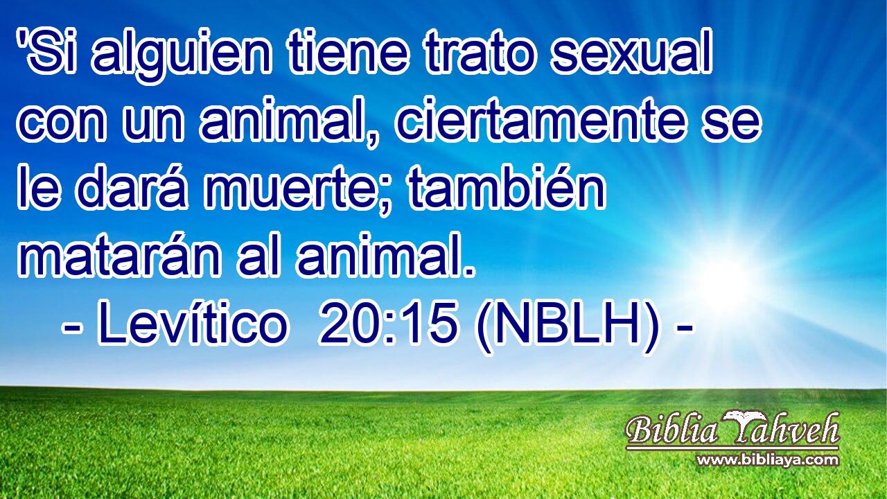  'Si alguien tiene trato sexual con un animal, ciertamente se le dará muerte; también matarán al animal. 