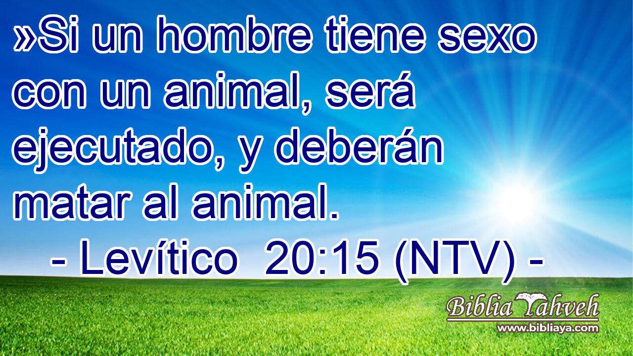 »Si un hombre tiene sexo con un animal, será ejecutado, y deberán matar al animal.