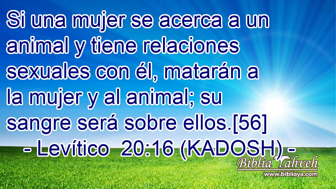  Si una mujer se acerca a un animal y tiene relaciones sexuales con él, matarán a la mujer y al animal; su sangre será sobre ellos.[56] 